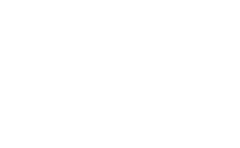 Tossdlogo