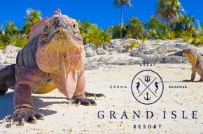 Image of lizards on the beach with the Grande Isle Resort logo